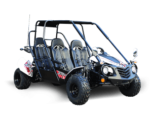 TrailMaster BLAZER4 200 (E)X GoKart